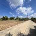 THB 599000,  6 BR,  100 Sq. Feet,  ที่ถมแล้ว ติดถ.คอนกรีต 100ตรว. 5.99แสน฿ พร