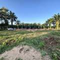 THB 6800,  6 BR,  1500 Sq. Feet,  ลงทุนอสังหาฉลาดไม่มีขาดทุน  ที่ติ