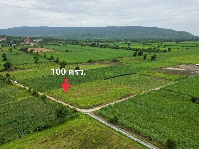 Bangkok, Real Estate For Sale, THB 100000,  6 BR,  100 Sq. Feet,  ถูกสุด ที่วิวเขา ติดถนนคอนกรีต1แสน