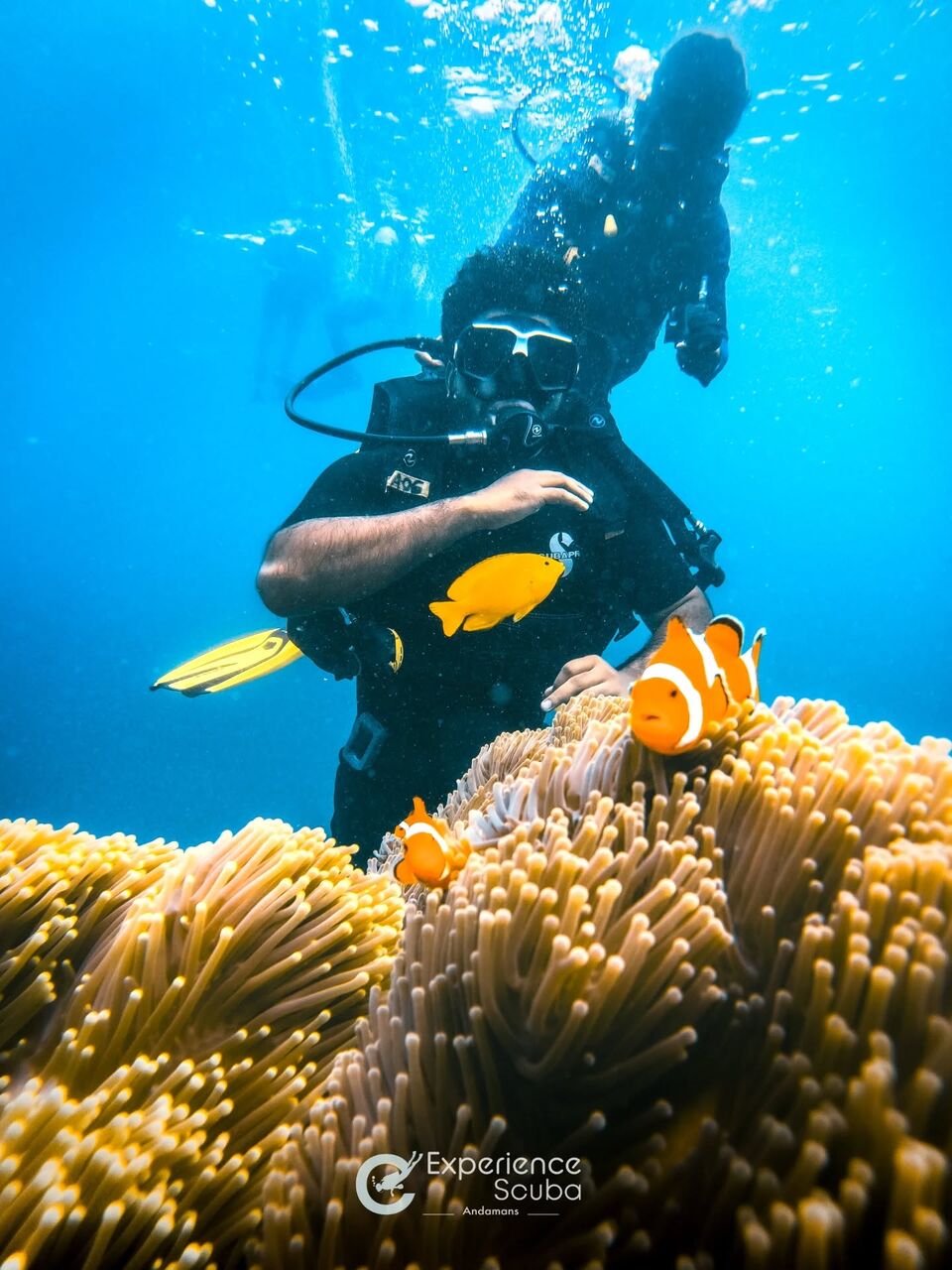 Mumbai, Travel, NonSwimmer Scuba Diving In Andaman: Straight Answers To The Most Important Questions