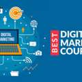 Best Digital Marketing Academy In Panchkula