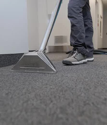 Melbourne, Cleaning, Dirty Carpets Making Your Home Feel Unclean? Get Help Today