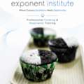 Professional Culinary Training At Exponent Institute