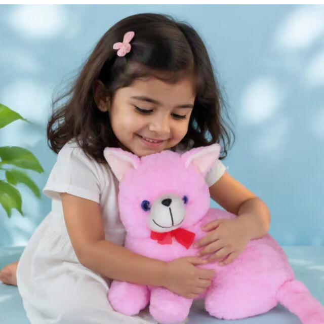 New Delhi, Baby & Kid Stuff, INR 225,  Best Cat Soft Toy For Baby | Cute & Soft Plush Toy