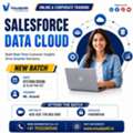 Salesforce Data Cloud Training &ndash; New Batch Starts September 7!