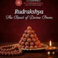 Trusted Rudraksha Shop In Berhampur
