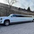 Professional Rides For Every Occasion Today Denver Limo Service