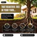Termites: The Hidden Highway Through Tree Roots