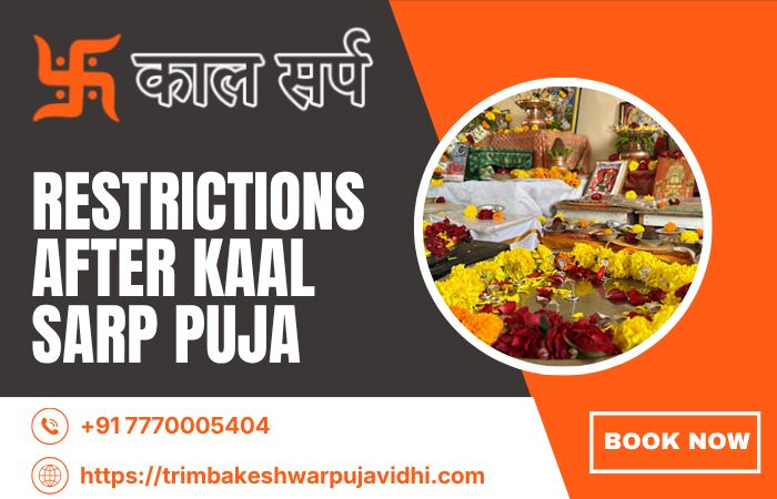 Mumbai, Business, Trimbakeshwar Kaal Sarp Puja For Traditional Remedies