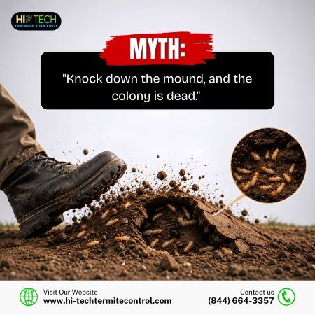 New York, Pest Control, Myth: "Knock Down The Mound, And The Colony Is Dead."