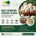Best Exporter Company In India | Glee Impex &ndash; Mushroom Exporter