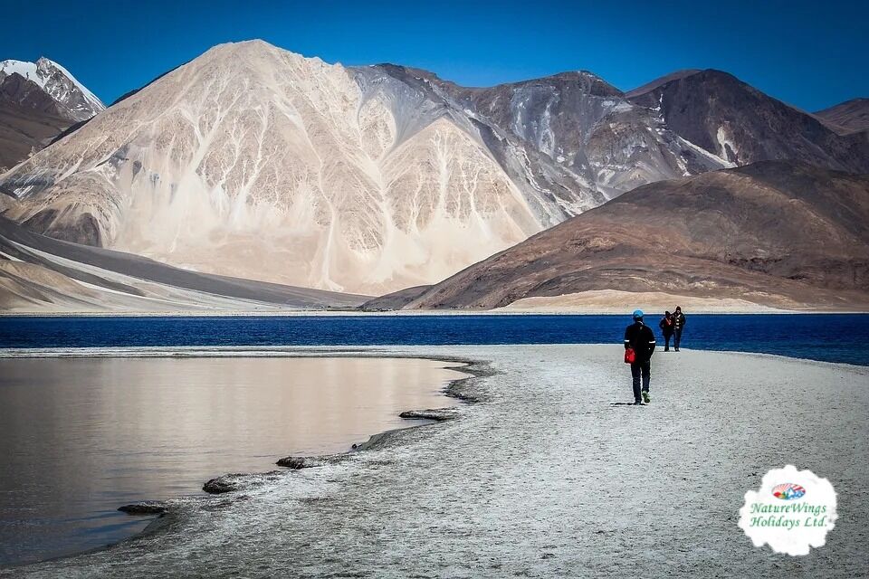 Kolkata, Travel, Leh Ladakh Tour Packages &ndash; Explore The Land Of High Passes