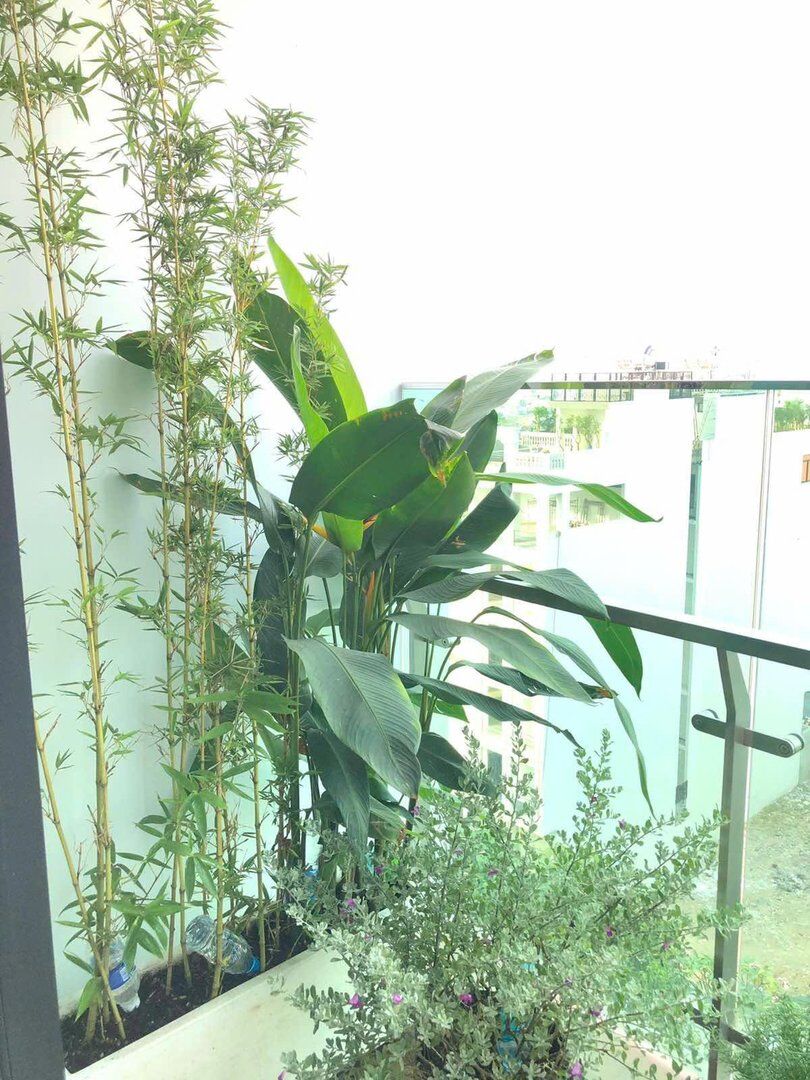Ho Chi Minh City, Apartments, Flats, Houses & Villas, VND 20000000/month,  Furnished,  2 BR,  80 Sq. Meter,  EXCLUSIVE LUXURY LIVING | FOR RENT | 2 BEDROOM 2 BATHROOM APARTMENT | FELIZ EN VISTA