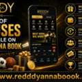 Types Of Bonuses Available On Reddy Anna Book