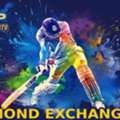 Cricket ID Online &ndash; Simple Guide For New Users