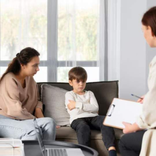 New York, Business, Family Reunification Counseling Services