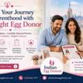 Find The Best Egg Donor Agency For Your Family-Building Journey