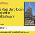 Why Is Kaal Sarp Dosh Worshiped In Trimbakeshwar?
