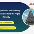 Kaal Sarp Dosh Chart: Identify Your Dosh And Find The Right Remedy