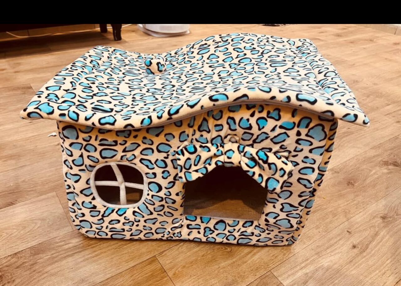 Al Aziziyah, Pet Supplies, SAR 40,  Cat Home
