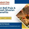 Narayan Bali Puja & Pitra Dosh Nivaran Puja Benefits