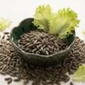 INR 1,  Lettuce Lollo Bionda Microgreen Seeds &ndash; Fresh & Easy To Grow