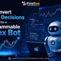Convert Trading Decisions Into A Programmable Forex Bot