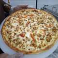 Need Urgent Chef