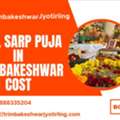 Kaal Sarp Puja And Muhurat Guidance 2026