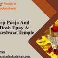 Kalsarp Pooja And Pitra Dosh Upay At Trimbakeshwar Temple
