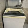 SAR 550,  Washing Machine
