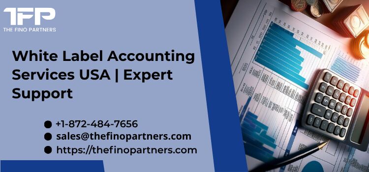Chicago, Accounting, White Label Accounting Services USA | Expert Support