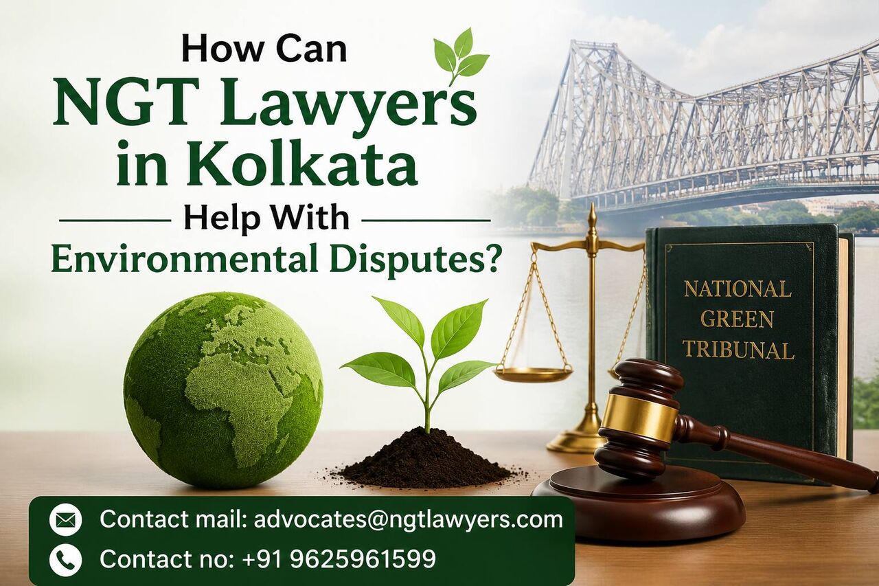 Ghaziabad, Legal, How Can NGT Lawyers In Kolkata Help With Environmental Disputes?