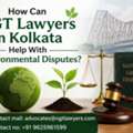 How Can NGT Lawyers In Kolkata Help With Environmental Disputes?