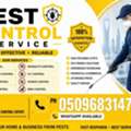 MS PEST CONTROL COCKROACH🪳SPRAYS (⁠💚⁠⁠) BED BUGS💚SOLUTION BEST PRICE(0509683147)🌟 29