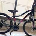 SAR 700,  White Totem U2 Mountain Bike
