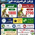 Labor Or Block Mason Ki Fori Zarort H