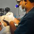 Best Hair Transplant Doctor In Delhi | Advanced Hair Restoration Clinic | Alloroots