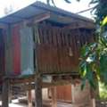 THB 390000,  6 BR,  262 Sq. Feet,  ลงทุนอสังหาฉลาดไม่มีขาดทุน ค่ายร