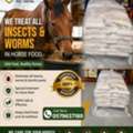 🐎 PROTECT YOUR HORSE FEED! 🚫🐜🪲