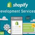 Shopify Development Company | Custom Shopify Experts USA