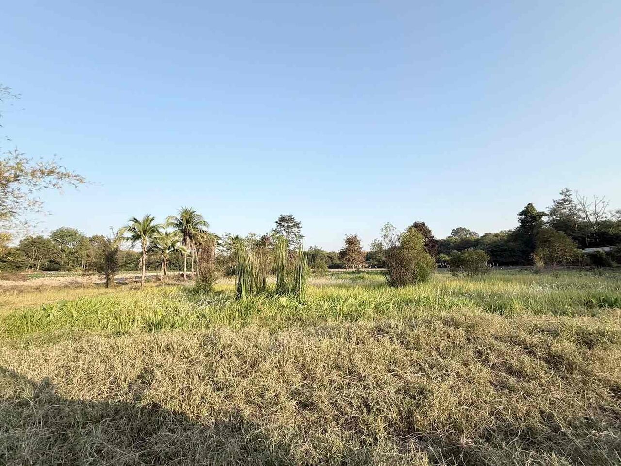 Bangkok, Real Estate For Sale, THB 9000000,  6 BR,  13740 Sq. Feet,  ขายที่ดินเปล่า 34 ไร่ ติดถนนสาธารณะ 1