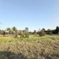 THB 9000000,  6 BR,  13740 Sq. Feet,  ขายที่ดินเปล่า 34 ไร่ ติดถนนสาธารณะ 1