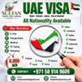 Dubai UAE Visa & PRO Services | Fast & Reliable