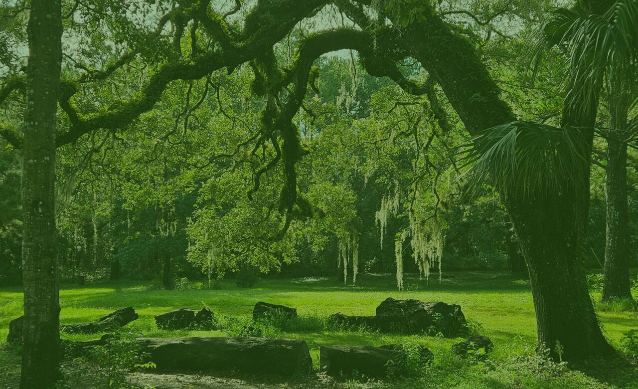 New York, Business, Boutique Campsite FLd For A Peaceful Nature Retreat