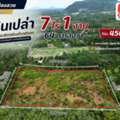 THB 3150000,  6 BR,  2964 Sq. Feet,  ที่ดินแปลงสวย เนื้อที่ 7 ไร่ 1 งาน 64 ตา