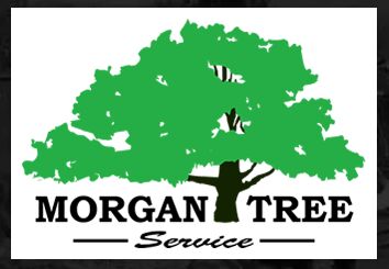 New York, Household, Get Land Clearing Services & Vegetation Management Today!