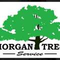 Get Land Clearing Services & Vegetation Management Today!