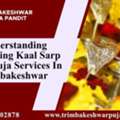 Understanding Ascending Kaal Sarp Dosh Puja Services In Trimbakeshwar