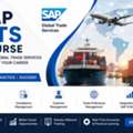 SAP GTS Course: Complete Guide To Global Trade Services Training In 2026